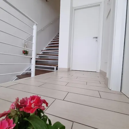 Dada 3* Ольбія